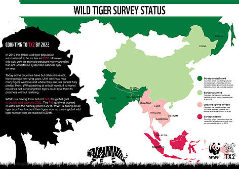 Wild Tiger Survey Status
© WWF rel=