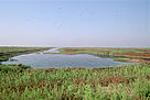 The Bei Dagang Nature Reserve on the Yellow Sea is an important winter ground for migrating birds. ...
© Michel GUNTHER / WWF
© Michel GUNTHER / WWF