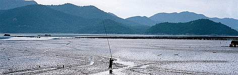 Fishing in the mudflats of the Yellow Sea, Jeollanam-do, South Korea.
© WWF-Japan rel=